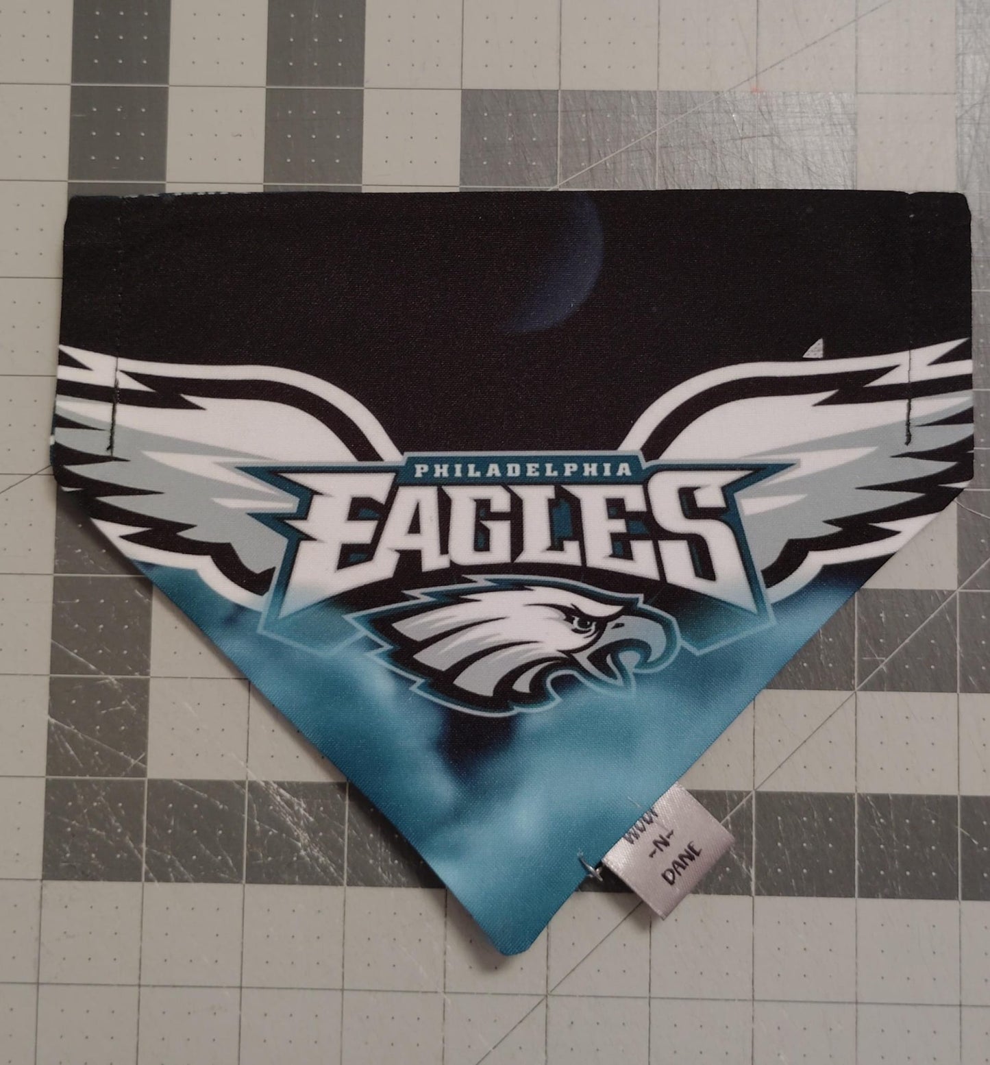 Philadelphia Eagles Reversible Over-the-Collar Dog Bandana | Football Game Day Pet Accessory