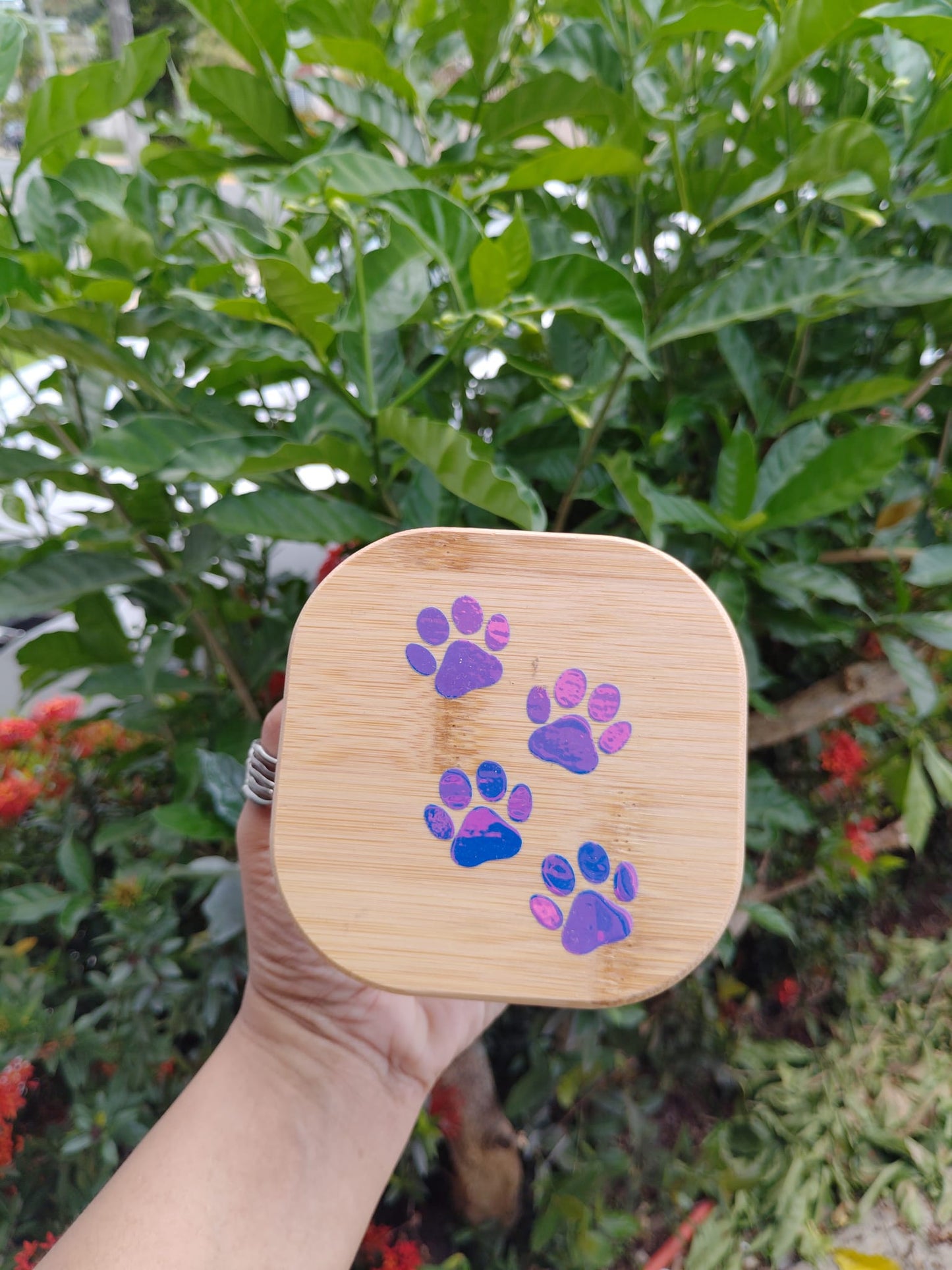 Dog Treat Glass Jar