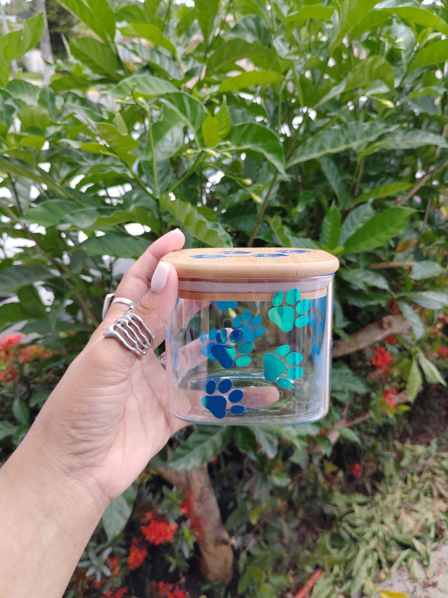 Dog Treat Glass Jar