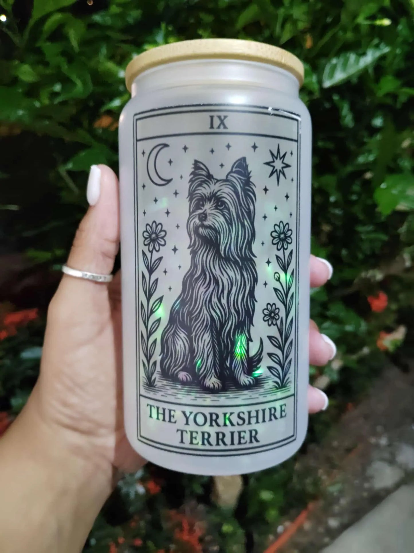Dog Tarot Glass Can: Frosted Iced Coffee Cup with Bamboo Lid