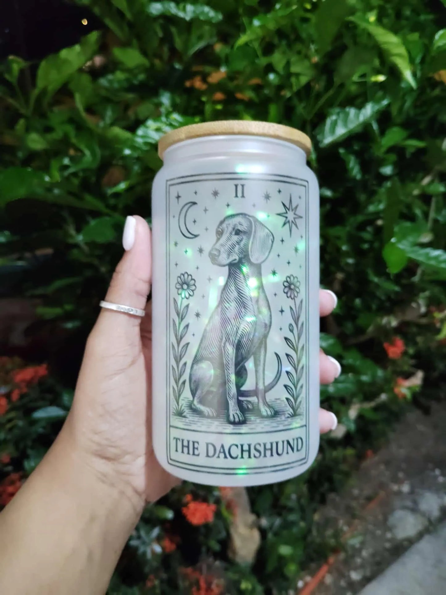 Dog Tarot Glass Can: Frosted Iced Coffee Cup with Bamboo Lid