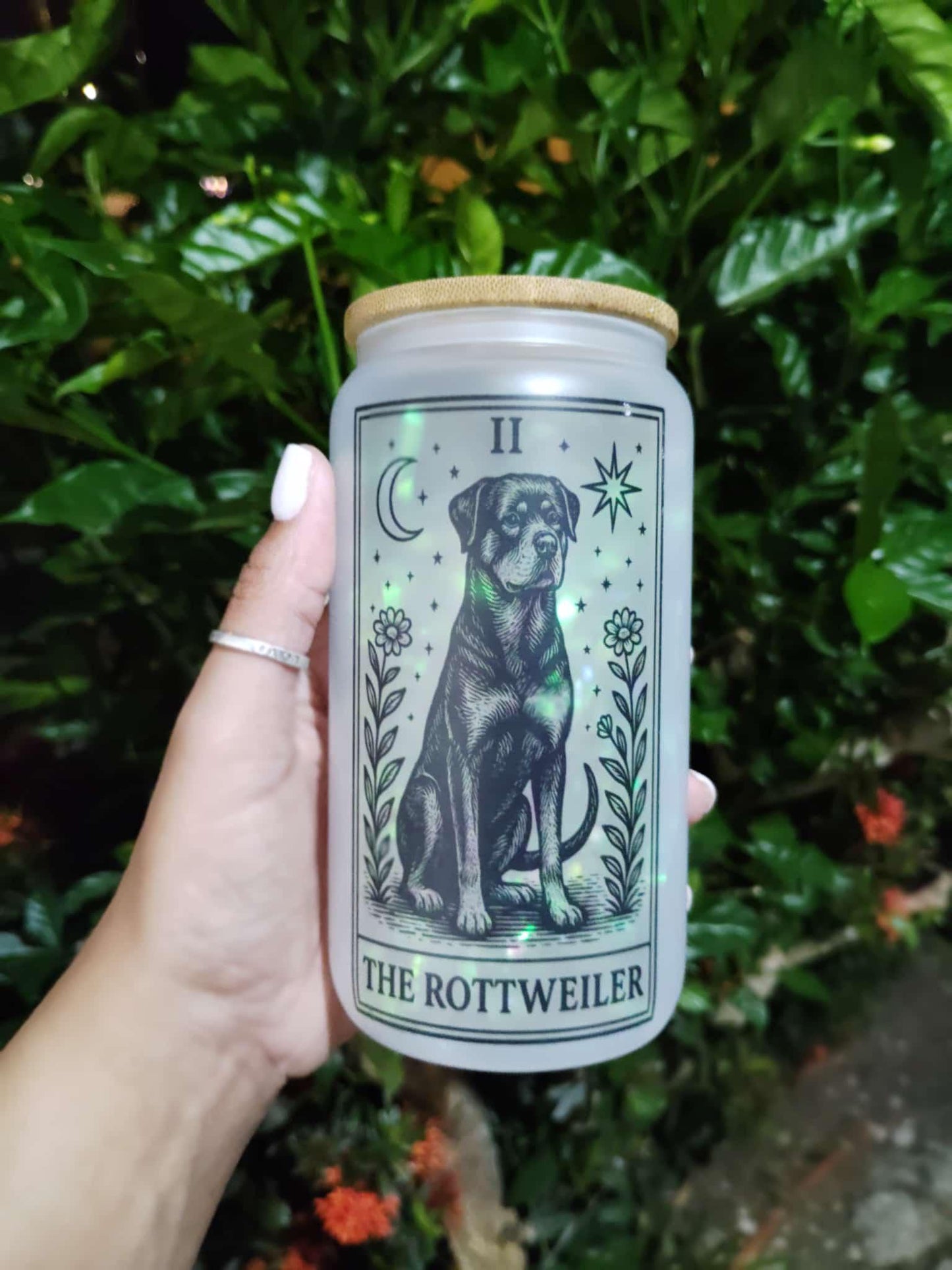 Dog Tarot Glass Can: Frosted Iced Coffee Cup with Bamboo Lid