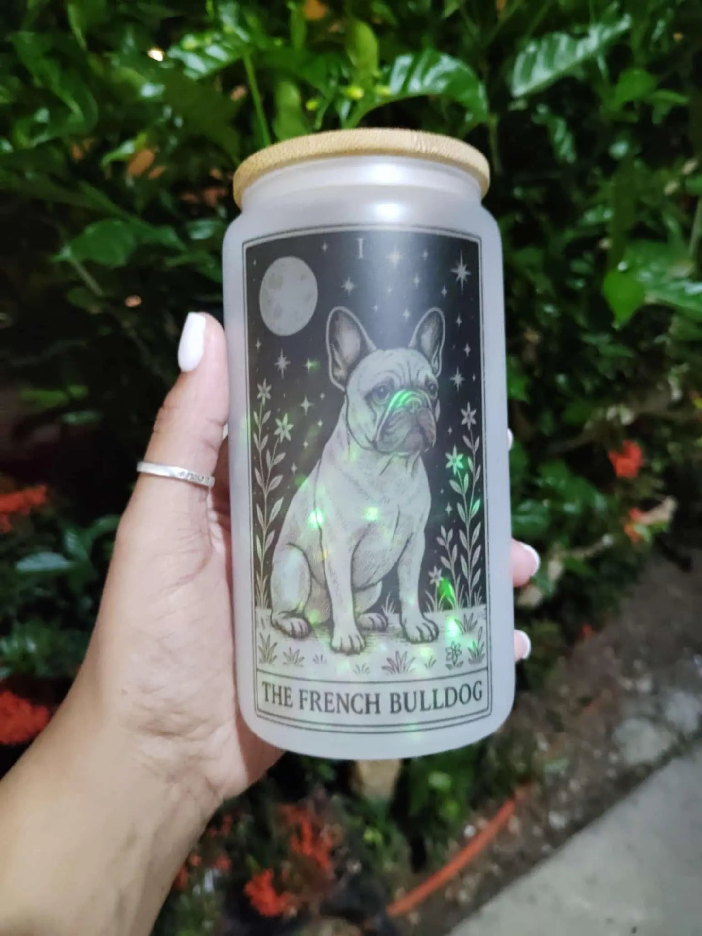 Dog Tarot Glass Can: Frosted Iced Coffee Cup with Bamboo Lid