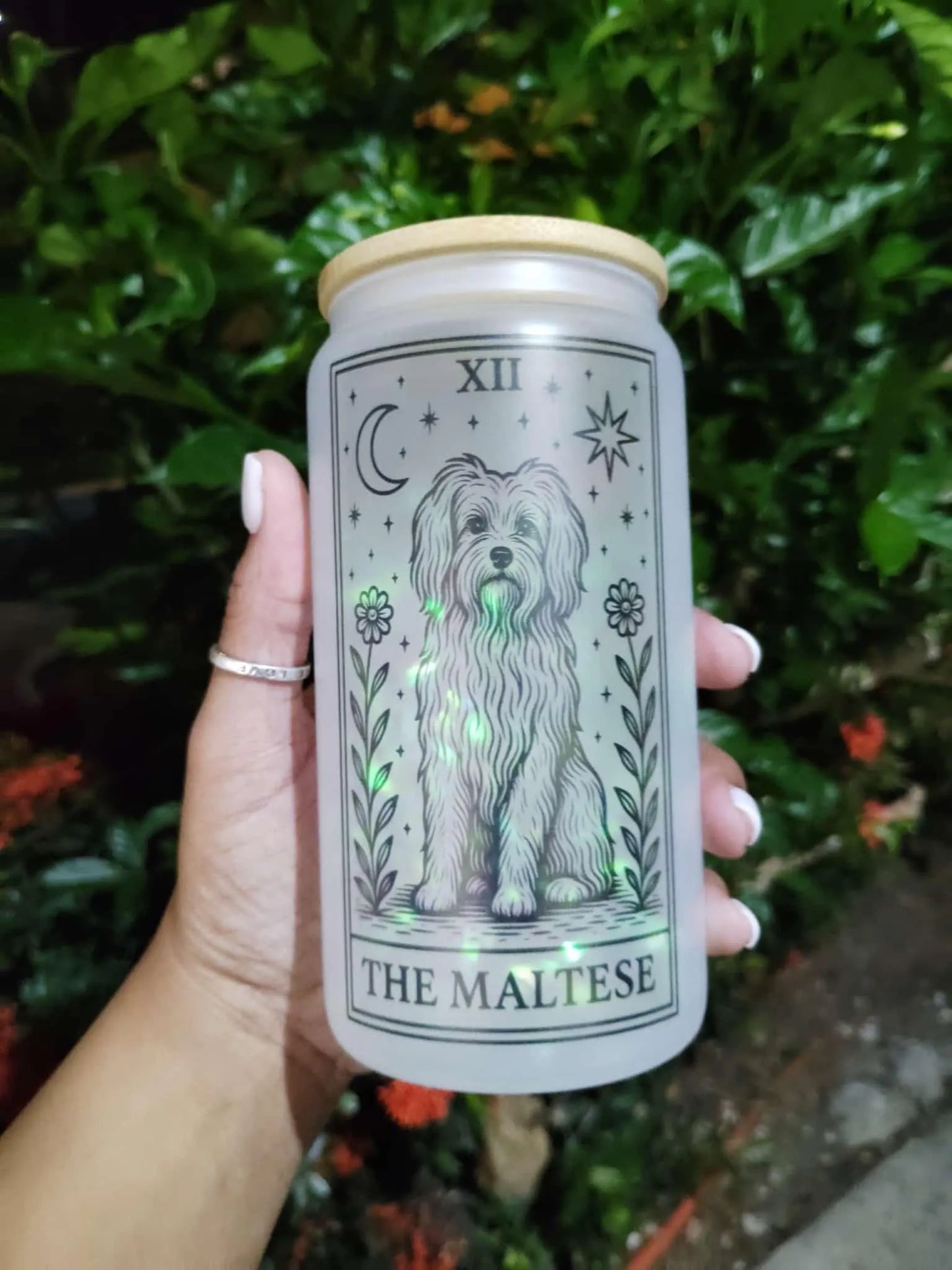 Dog Tarot Glass Can: Frosted Iced Coffee Cup with Bamboo Lid
