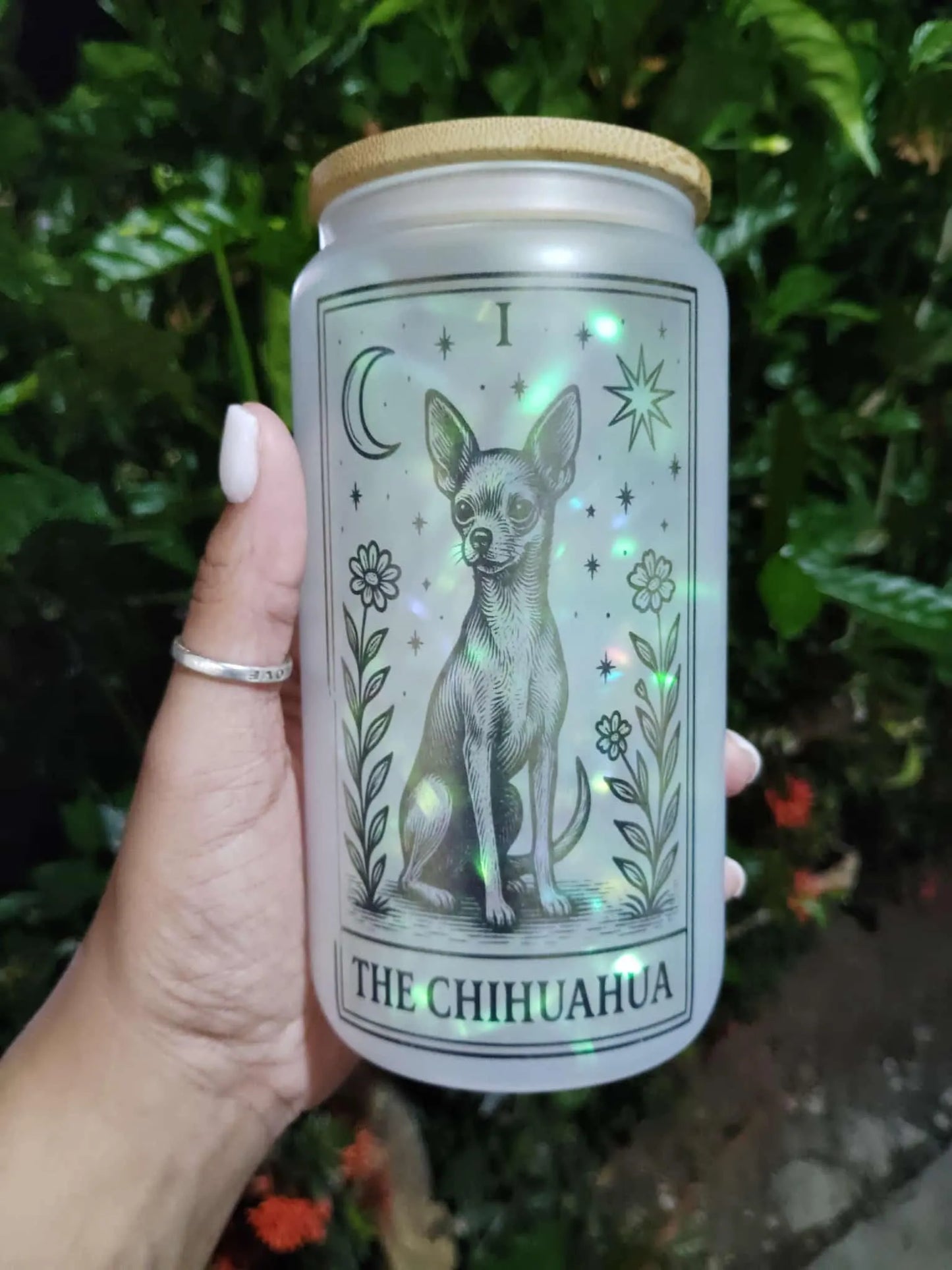 Dog Tarot Glass Can: Frosted Iced Coffee Cup with Bamboo Lid