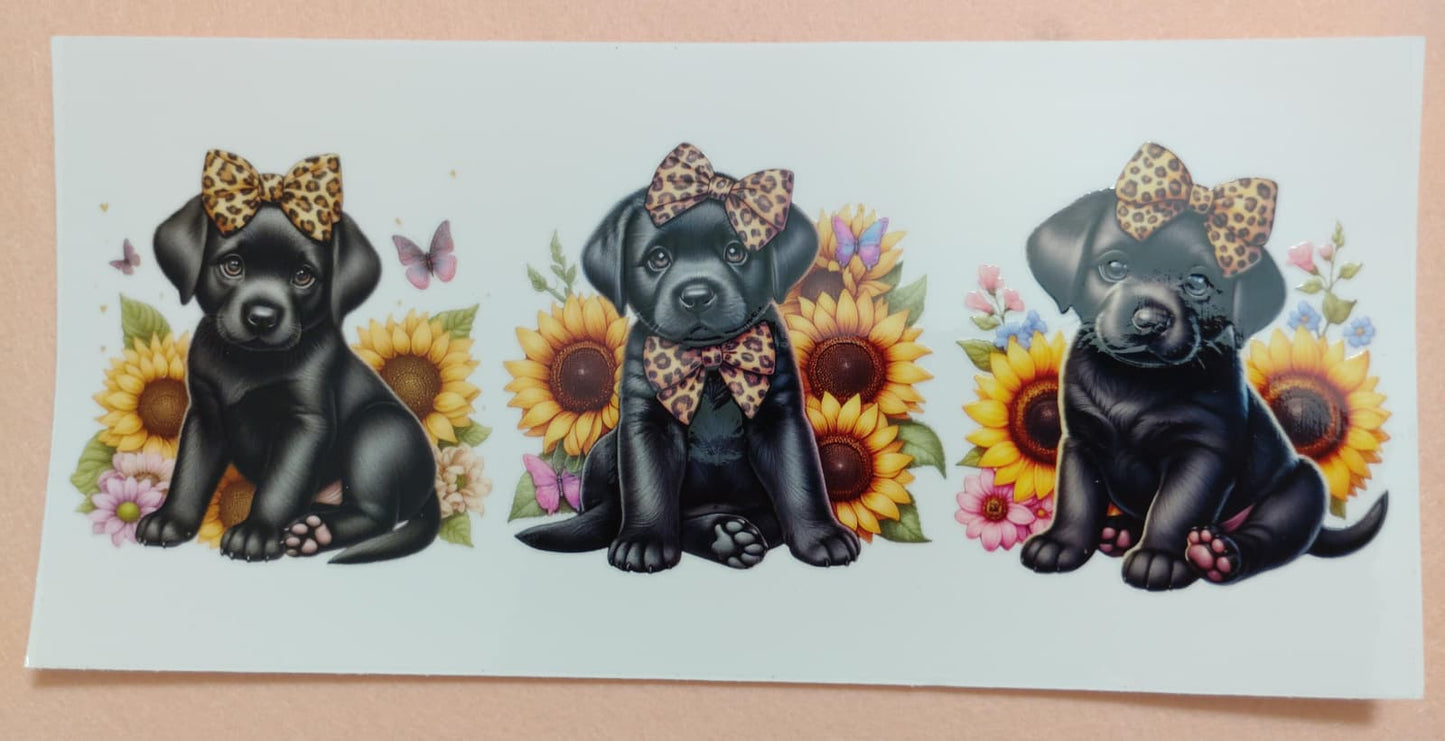 Cute Puppy Dog 16oz Glass Cans