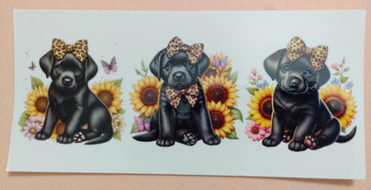 Cute Puppy Dog 16oz Glass Cans