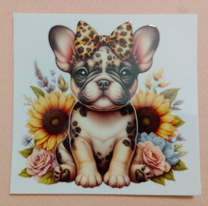 Cute Puppy Dog Face Glass Cans