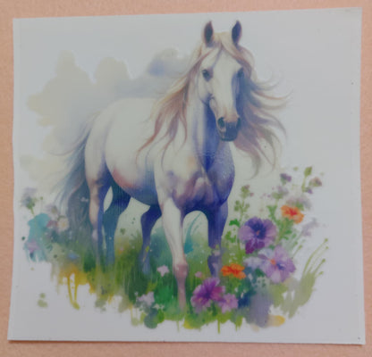 Horse 16oz Glass Cans