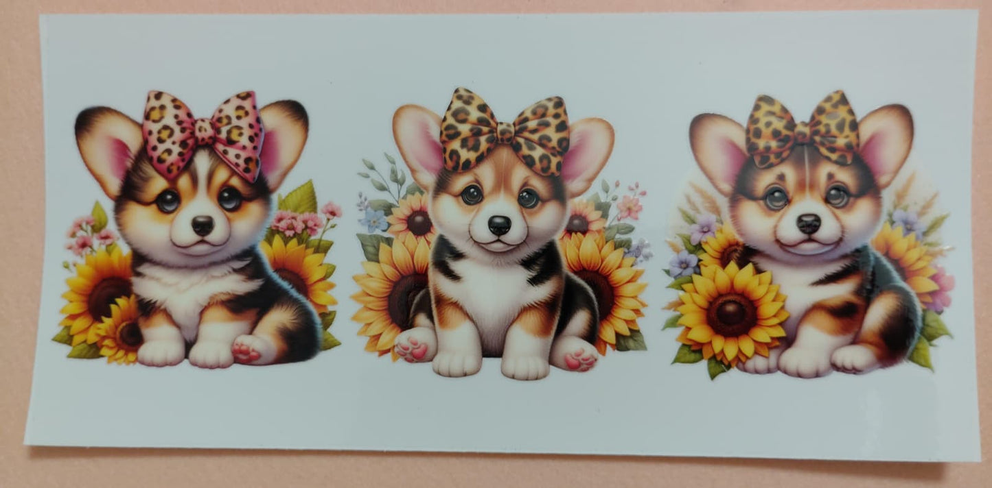 Cute Puppy Dog 16oz Glass Cans