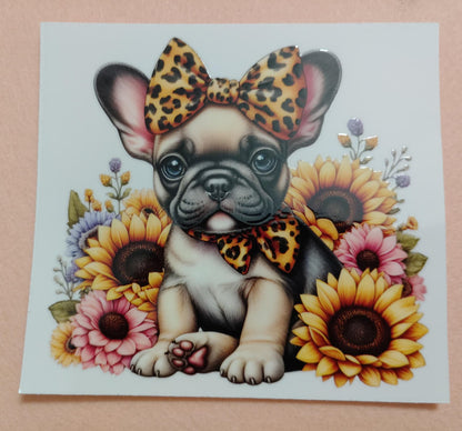 Cute Puppy Dog Face Glass Cans